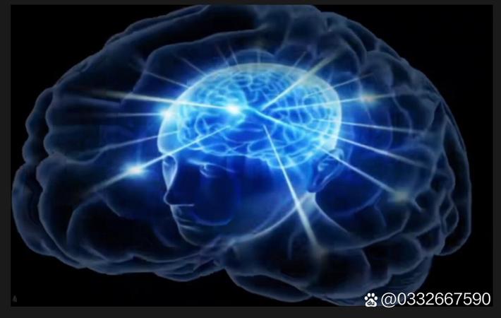 网友"吃瓜一线猹"